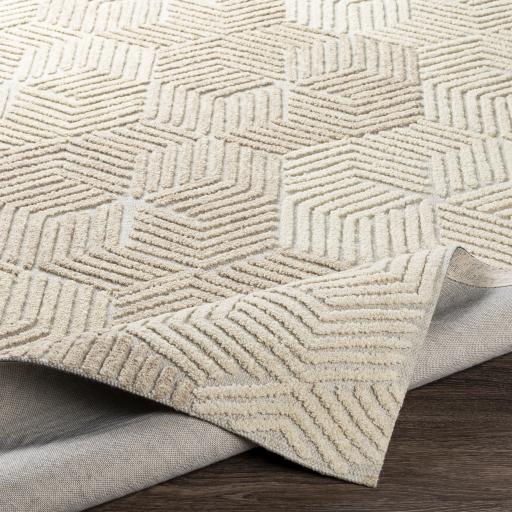 Surya Oakland OAA-1002 Beige Cream 2' x 3' Rug