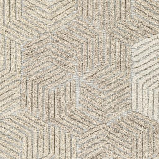 Surya Oakland OAA-1002 Beige Cream 2' x 3' Rug