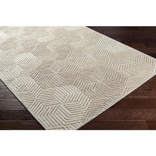 Surya Oakland OAA-1002 Beige Cream 2' x 3' Rug