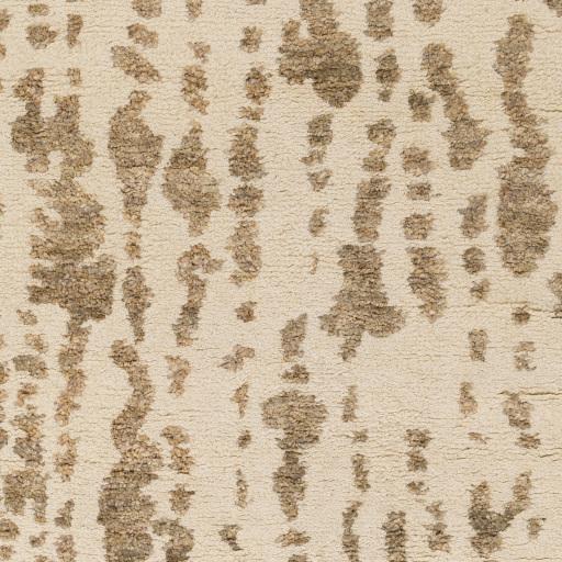 Surya Orinocco OOC-1006 Cream Tan 2' x 3' Rug