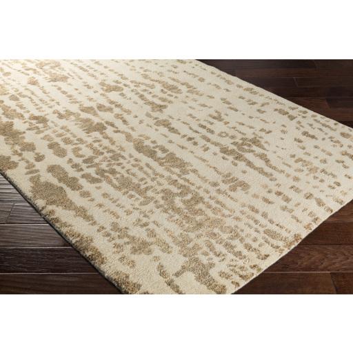 Surya Orinocco OOC-1006 Cream Tan 2' x 3' Rug