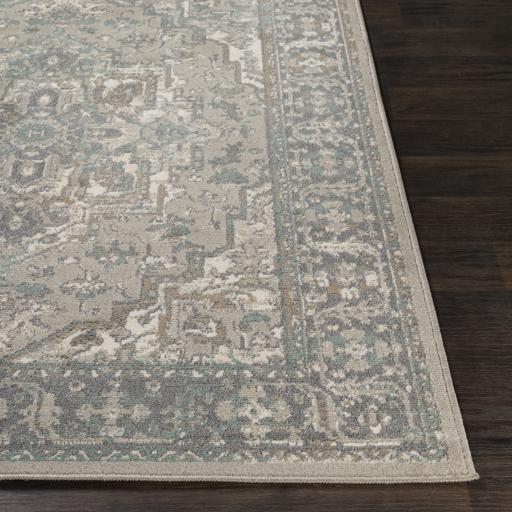 Surya Oslo OSL-2301 Beige Brown 7'10" x 10'2" Rug