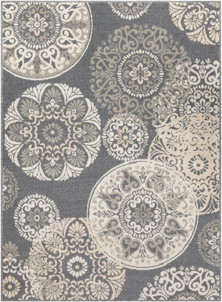 Surya Oslo OSL-2314 Beige Charcoal 5'3" x 7'3" Rug