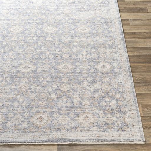 Surya Palazzo PZL-2303 Blush Brown 2' x 3'3" Rug