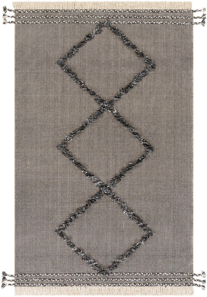 Surya Palo Alto PLA-2301 Black Gray 2' x 3' Rug