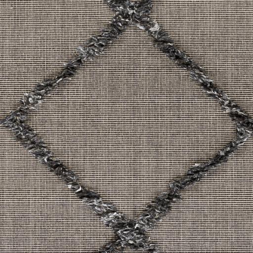 Surya Palo Alto PLA-2301 Black Gray 2' x 3' Rug