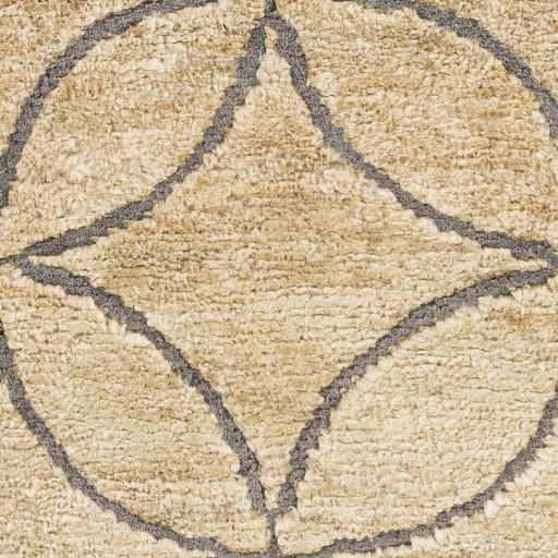 Surya Papyrus PPY-4910 Beige Gray 2' x 3' Rug