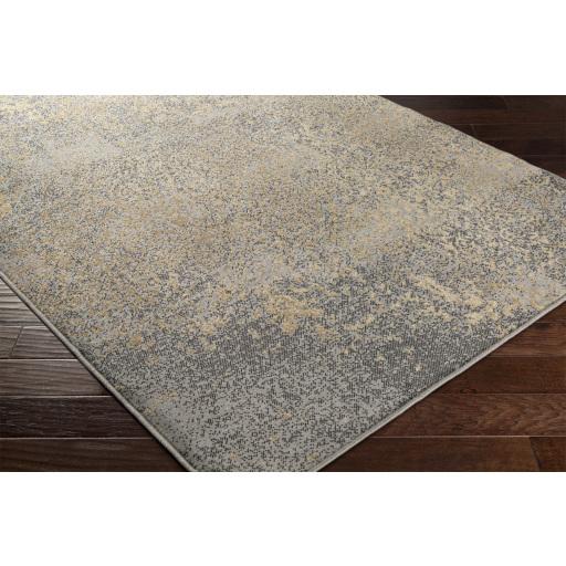 Surya Paramount PAR-1074 Charcoal Gray 1'10" x 2'11" Rug