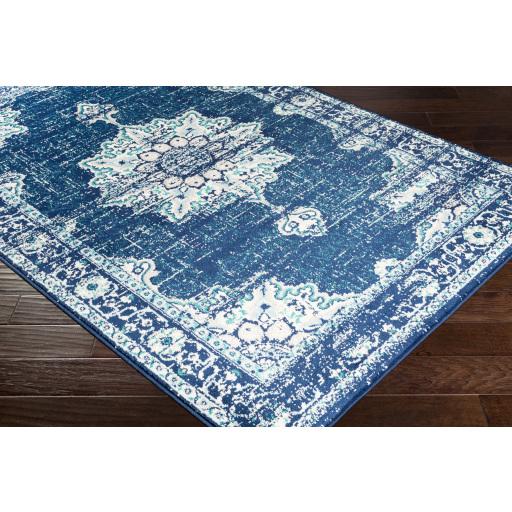 Surya Paramount PAR-1100 Aqua Cream 1'10" x 2'11" Rug