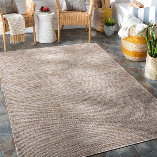 Surya Pasadena PSA-2308 Brown Cream 2'6" x 4' Rug