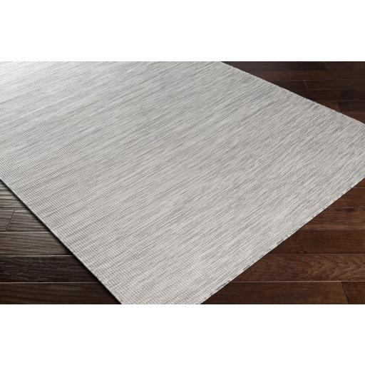 Surya Pasadena PSA-2315 Cream Light Beige 2'6" x 4' Rug