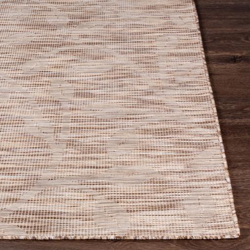 Surya Pasadena PSA-2318 Brown Light Beige 2'6" x 4' Rug