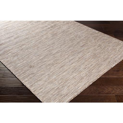 Surya Pasadena PSA-2325 Brown Light Beige 2'6" x 4' Rug