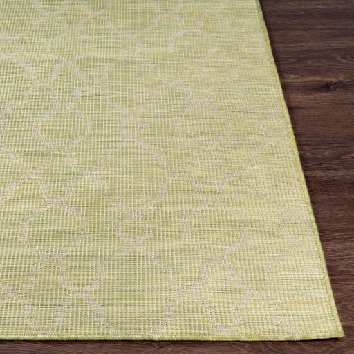 Surya Pasadena PSA-2330 Grass Green 2'6" x 4' Rug