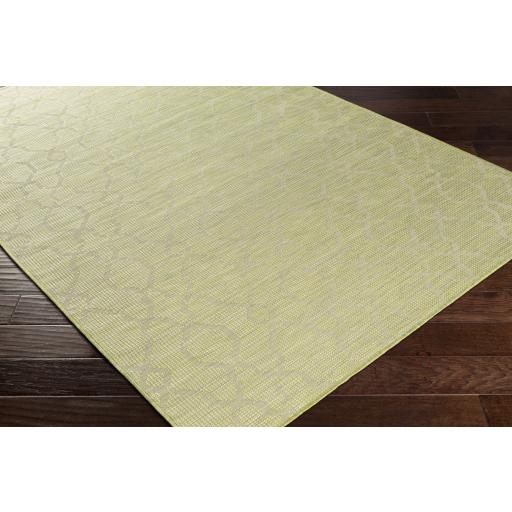 Surya Pasadena PSA-2330 Grass Green 2'6" x 4' Rug