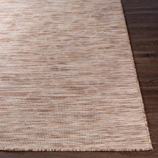 Surya Pasadena PSA-2331 Brown Cream 2'6" x 4' Rug