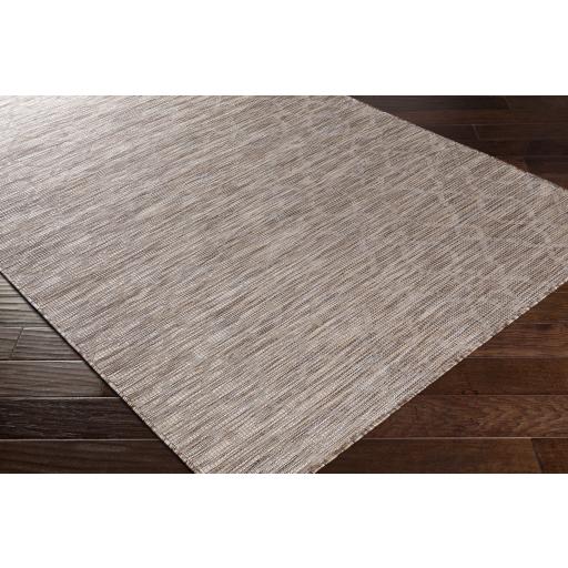 Surya Pasadena PSA-2331 Brown Cream 2'6" x 4' Rug