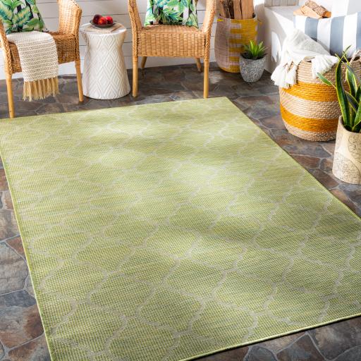 Surya Pasadena PSA-2337 Grass Green 2'6" x 4' Rug