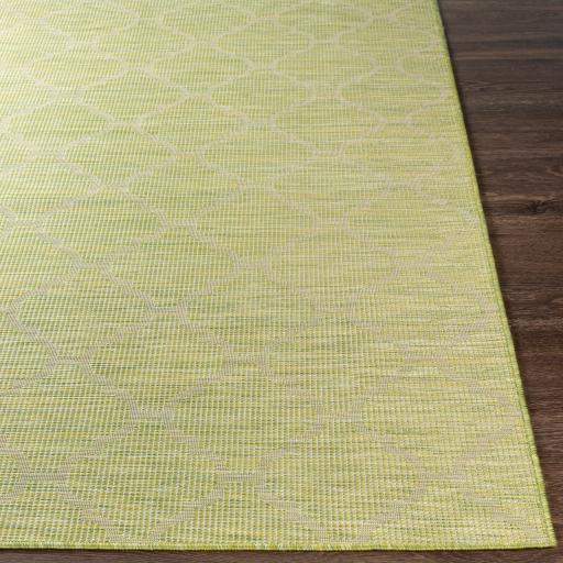 Surya Pasadena PSA-2337 Grass Green 2'6" x 4' Rug