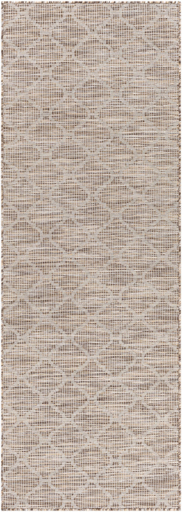 Surya Pasadena PSA-2338 Brown Light Beige 2'6" x 4' Rug