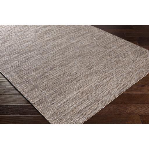 Surya Pasadena PSA-2338 Brown Light Beige 2'6" x 4' Rug