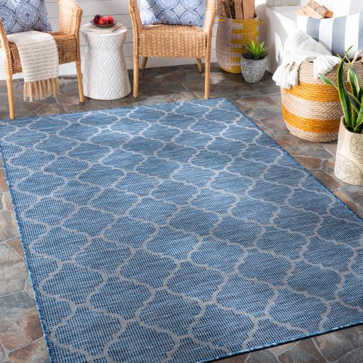 Surya Pasadena PSA-2340 Blue 2'6" x 4' Rug