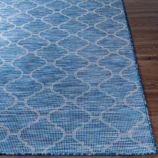 Surya Pasadena PSA-2340 Blue 2'6" x 4' Rug