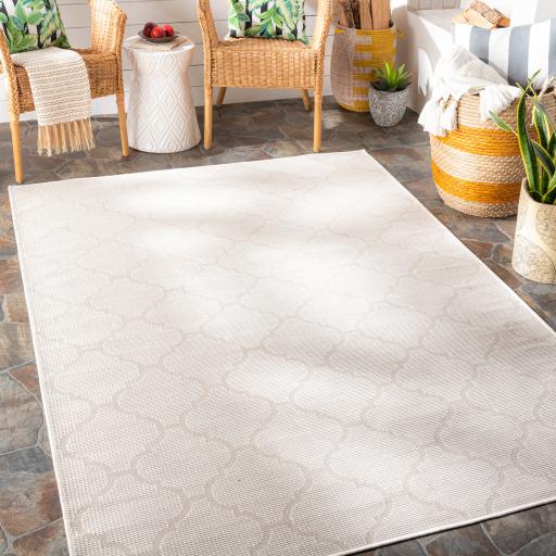 Surya Pasadena PSA-2345 Cream 2'6" x 4' Rug