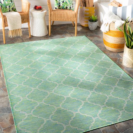 Surya Pasadena PSA-2346 Blue Grass Green 2'6" x 4' Rug