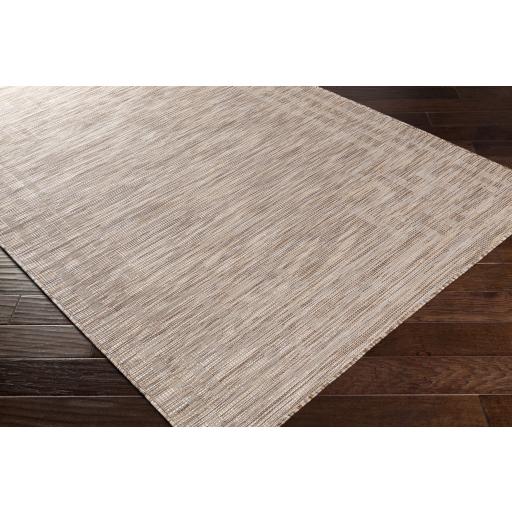 Surya Pasadena PSA-2349 Brown Cream 2'6" x 4' Rug