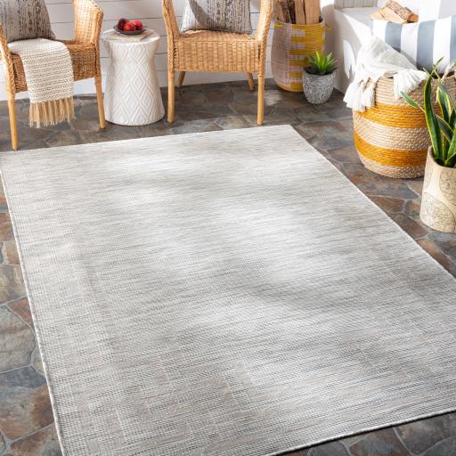 Surya Pasadena PSA-2352 Cream Light Gray 2'6" x 4' Rug