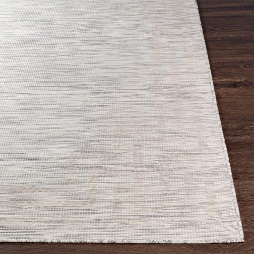 Surya Pasadena PSA-2352 Cream Light Gray 2'6" x 4' Rug