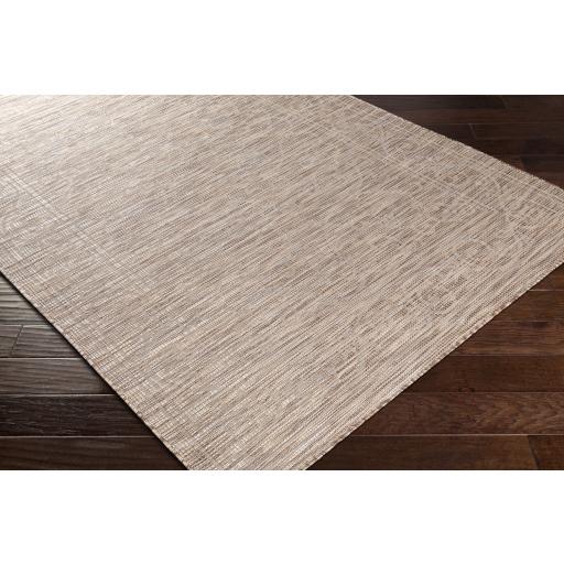 Surya Pasadena PSA-2356 Brown Cream 2'6" x 4' Rug