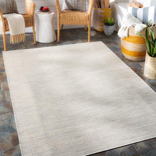 Surya Pasadena PSA-2359 Cream Light Gray 2'6" x 4' Rug