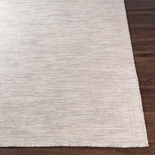 Surya Pasadena PSA-2359 Cream Light Gray 2'6" x 4' Rug