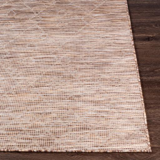 Surya Pasadena PSA-2361 Brown Light Beige 2'6" x 4' Rug