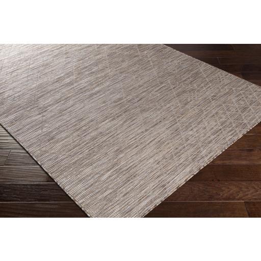 Surya Pasadena PSA-2361 Brown Light Beige 2'6" x 4' Rug