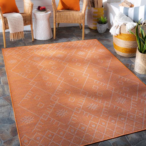 Surya Pasadena PSA-2365 Orange 2'6" x 4' Rug