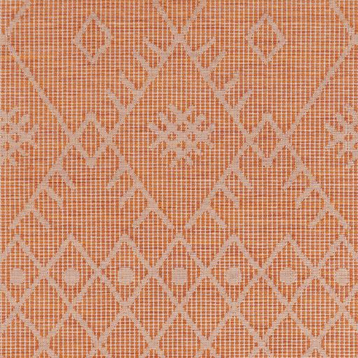 Surya Pasadena PSA-2365 Orange 2'6" x 4' Rug