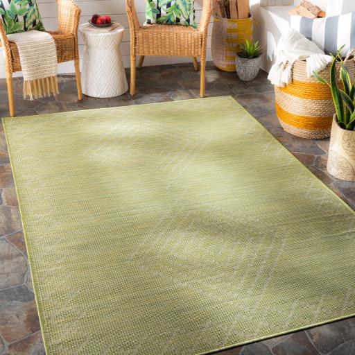 Surya Pasadena PSA-2366 Sage 2'6" x 4' Rug