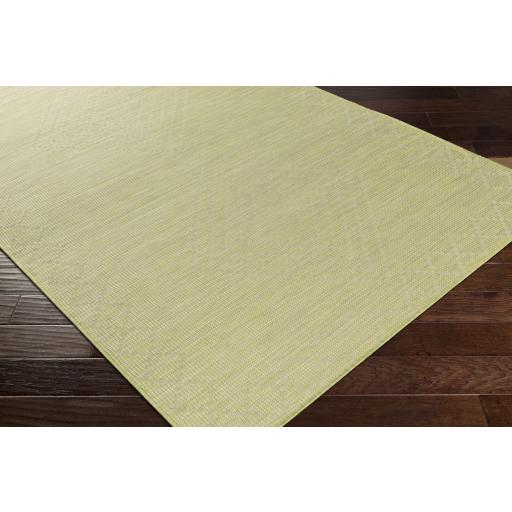 Surya Pasadena PSA-2366 Sage 2'6" x 4' Rug