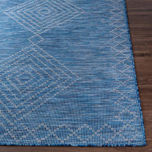 Surya Pasadena PSA-2369 Blue 2'6" x 4' Rug