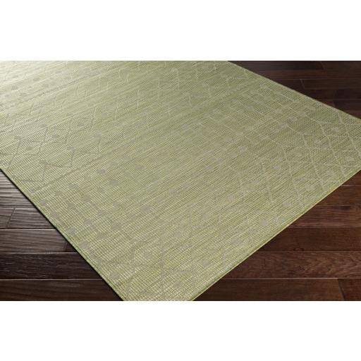 Surya Pasadena PSA-2372 Sage 2'6" x 4' Rug