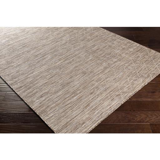 Surya Pasadena PSA-2373 Brown Cream 2'6" x 4' Rug