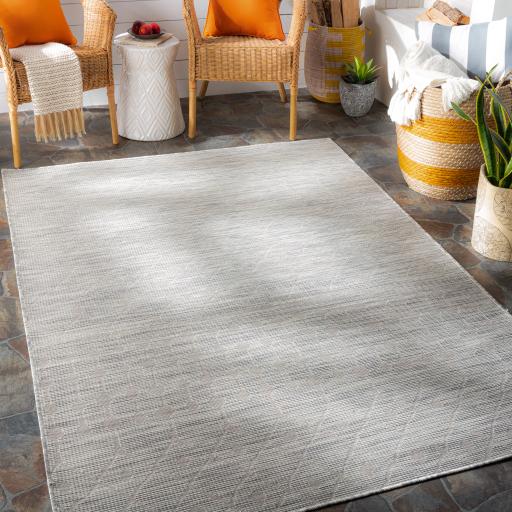 Surya Pasadena PSA-2376 Cream Light Beige 2'6" x 4' Rug