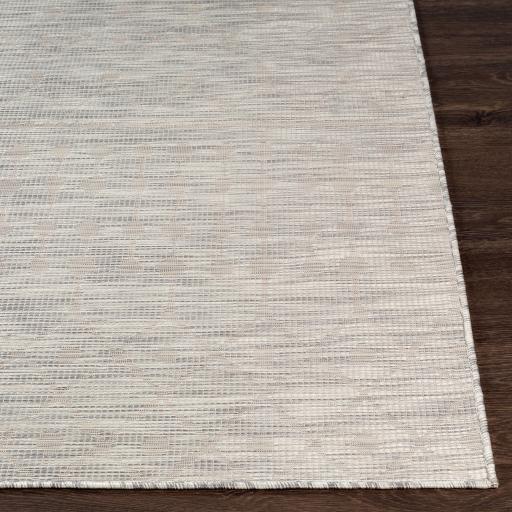 Surya Pasadena PSA-2376 Cream Light Beige 2'6" x 4' Rug