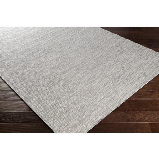 Surya Pasadena PSA-2376 Cream Light Beige 2'6" x 4' Rug