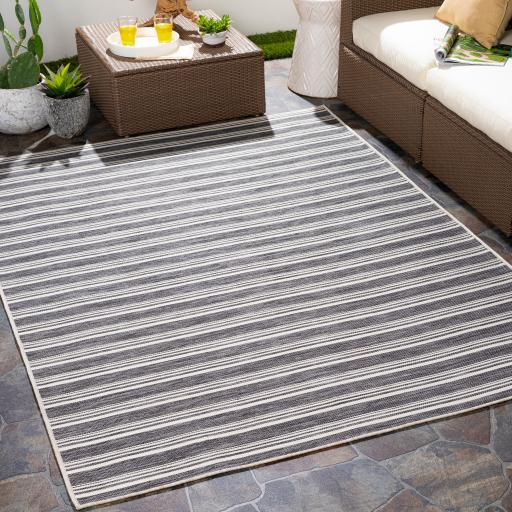 Surya Pasadena PSA-2384 Black Cream 2'7" x 4'11" Rug