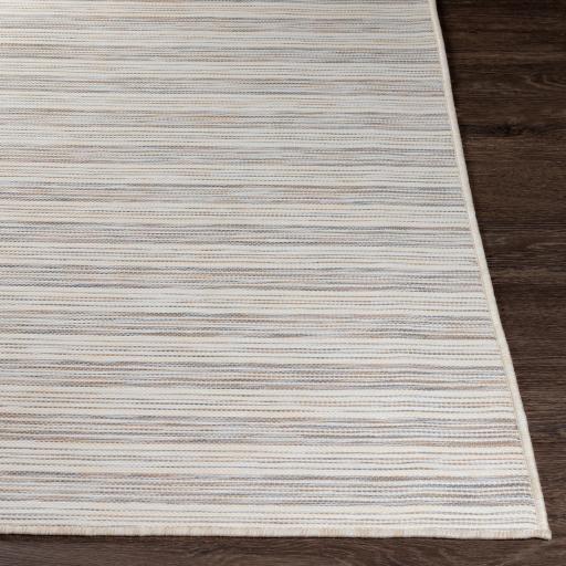 Surya Pasadena PSA-2387 Brown Cream 2'7" x 7'3" Rug