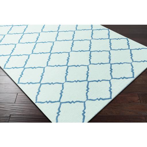 Surya Picnic PIC-4000 Blue Seafoam 2' x 3' Rug